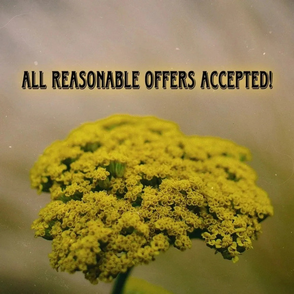 Accepting all reasonable offers! - Picture 1 of 1